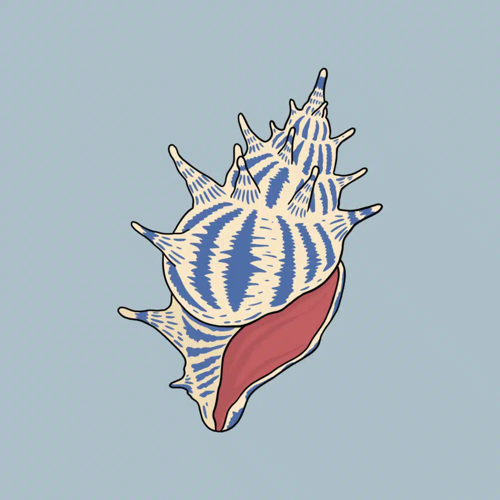 Космос на потолке