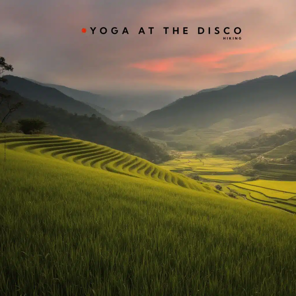 Yoga At The Disco