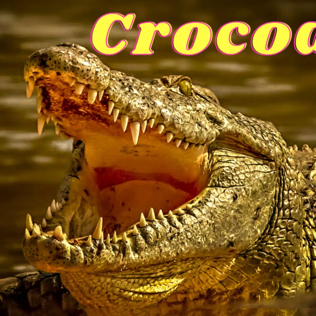 The Fascinating World of Crocodiles: Unveiling the Secrets of These