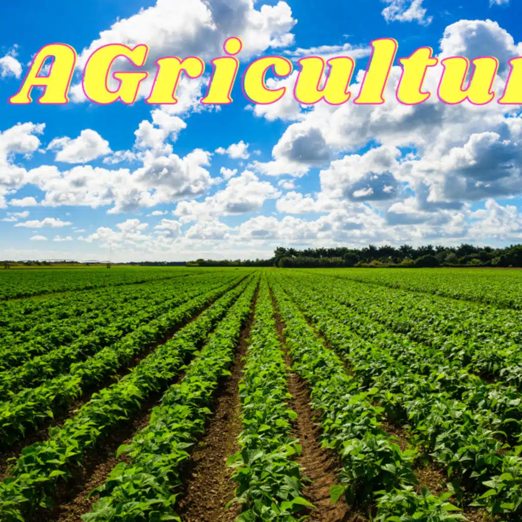 Agriculture for future generation