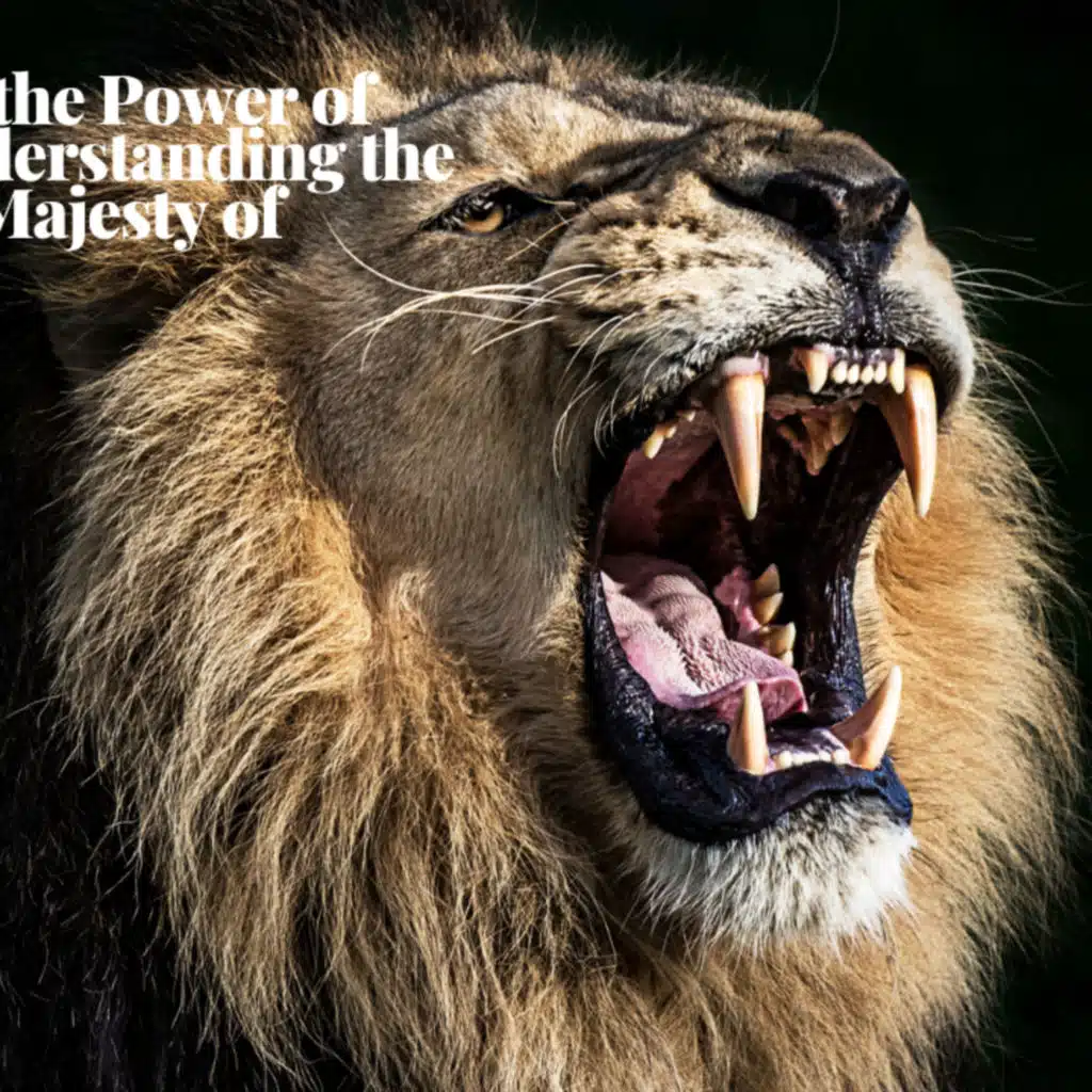 Recognizing the Power of the King: Understanding the Danger and Majesty of Lions