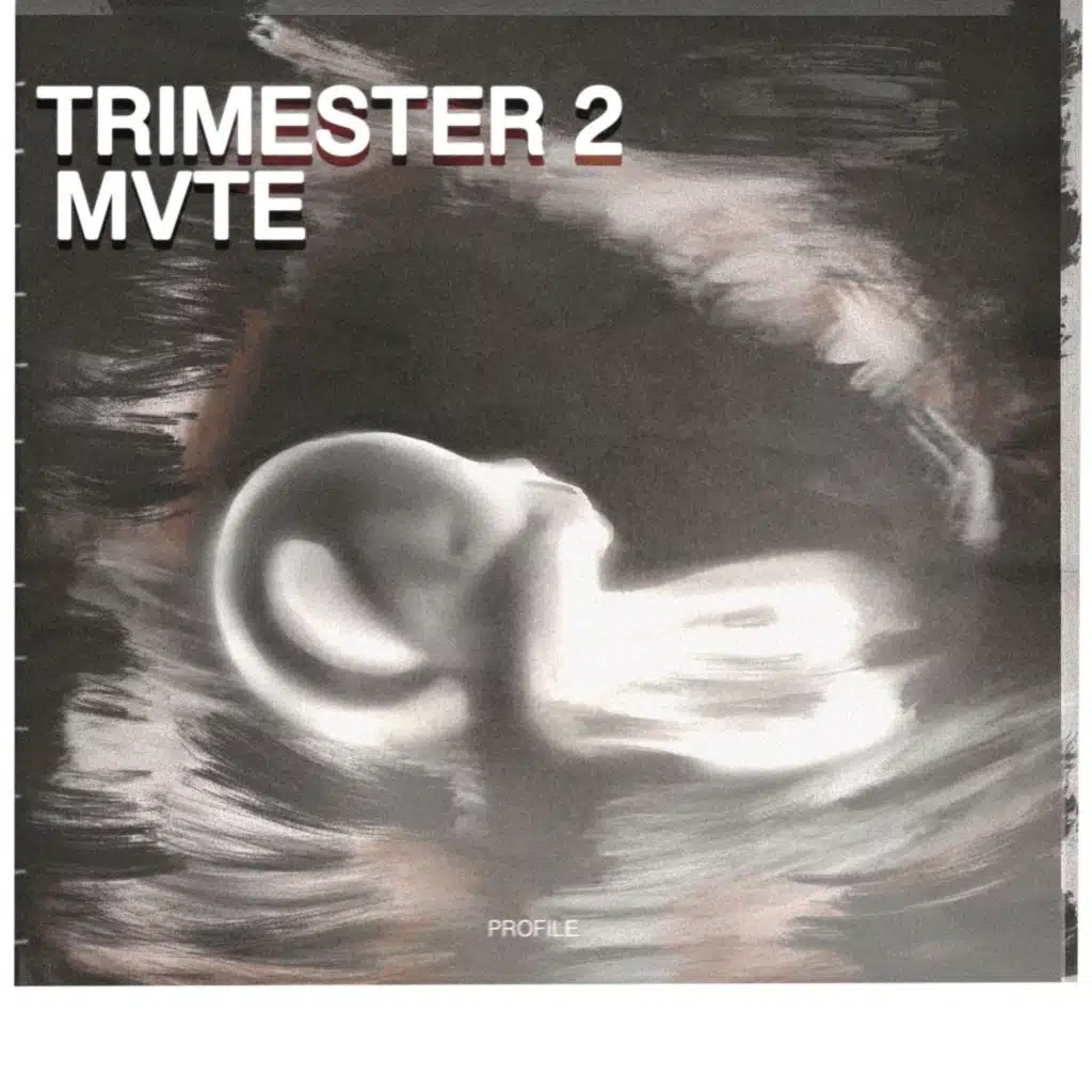 Trimester 2