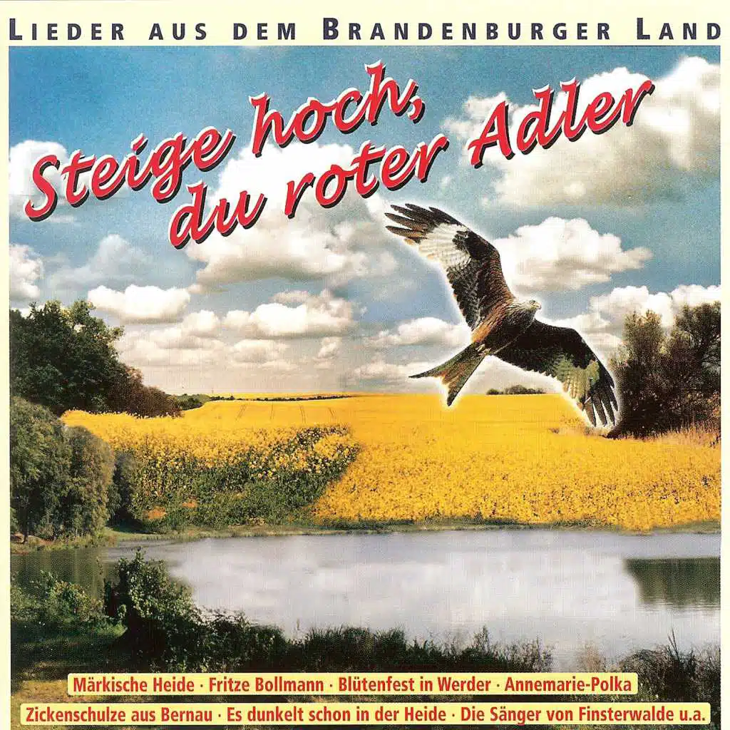 Steige hoch, du roter Adler