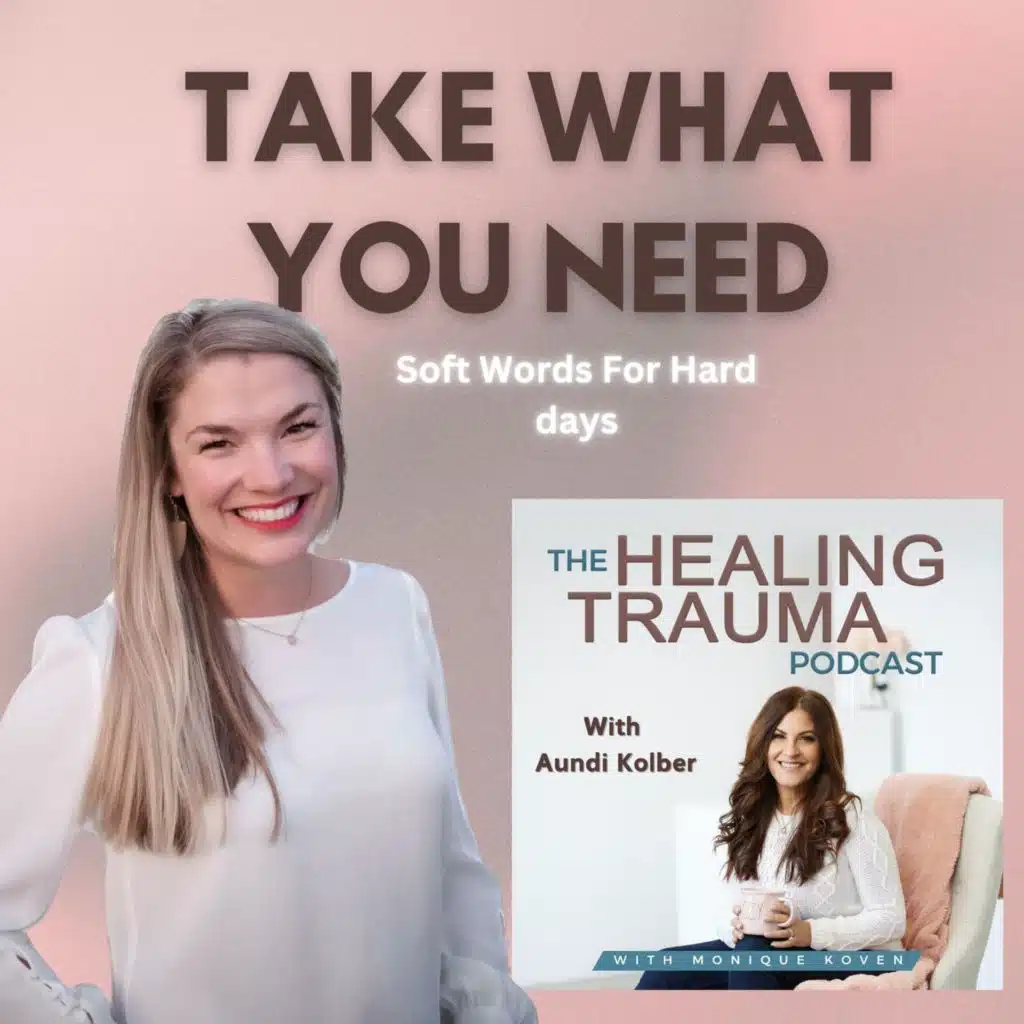 Take what You Need, Soft Words For Hard Days With Aundi Kolber