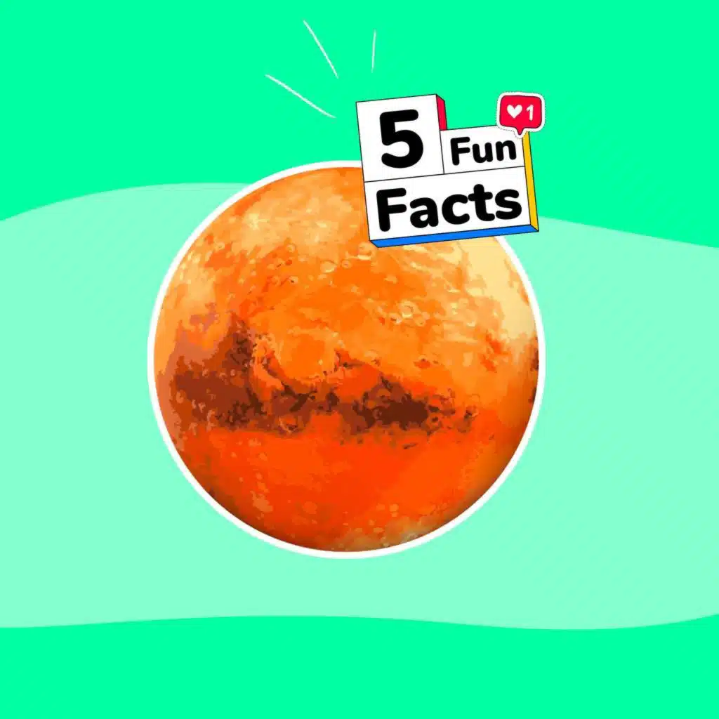 MARS - 5 choses à savoir sur...