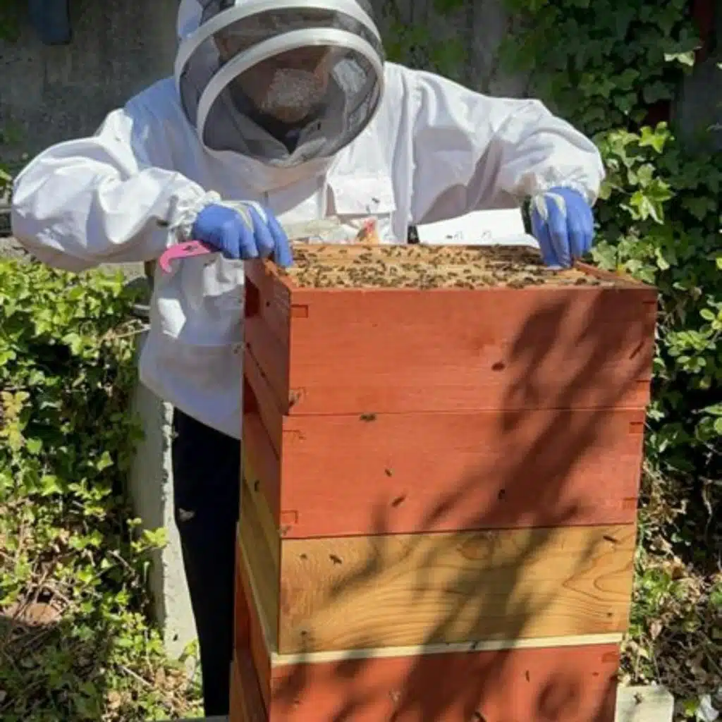 The bee keepers at Dublin Bus