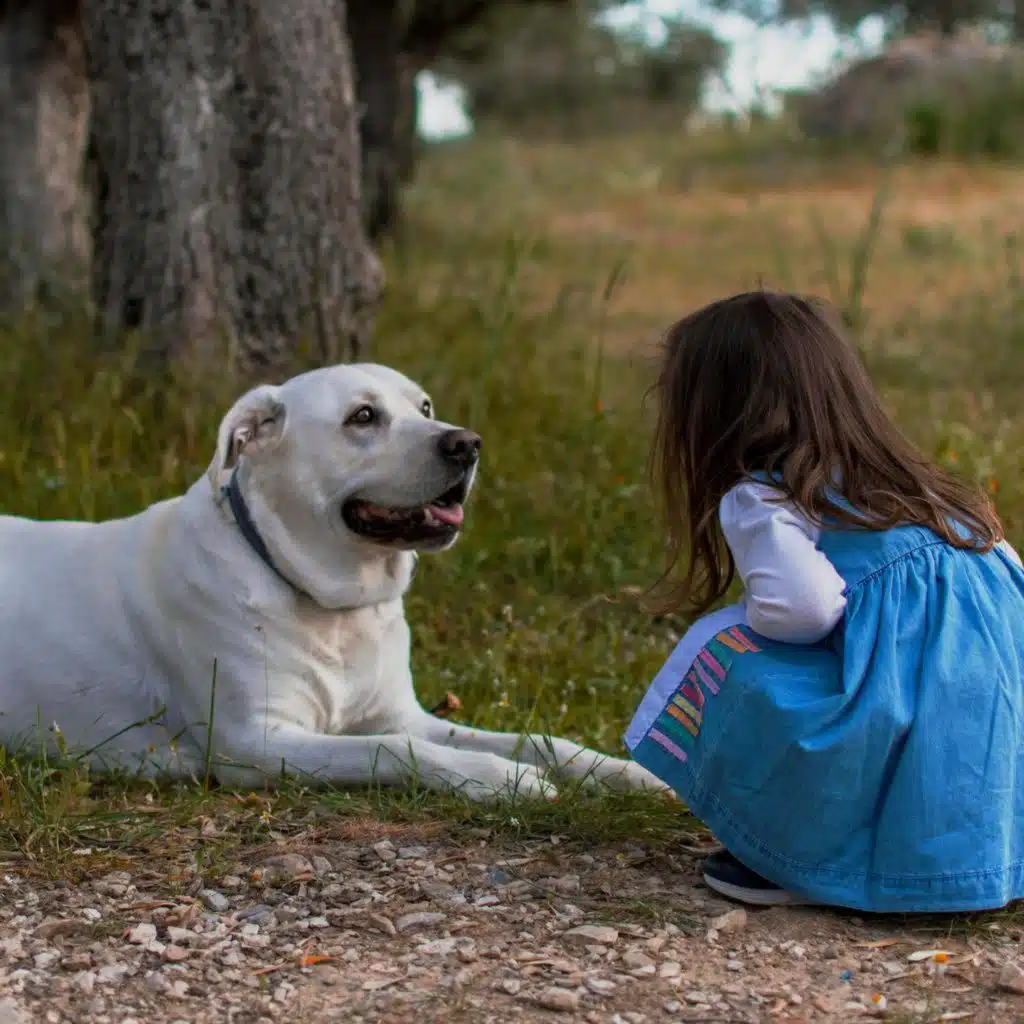 Are we choosing dogs over children?