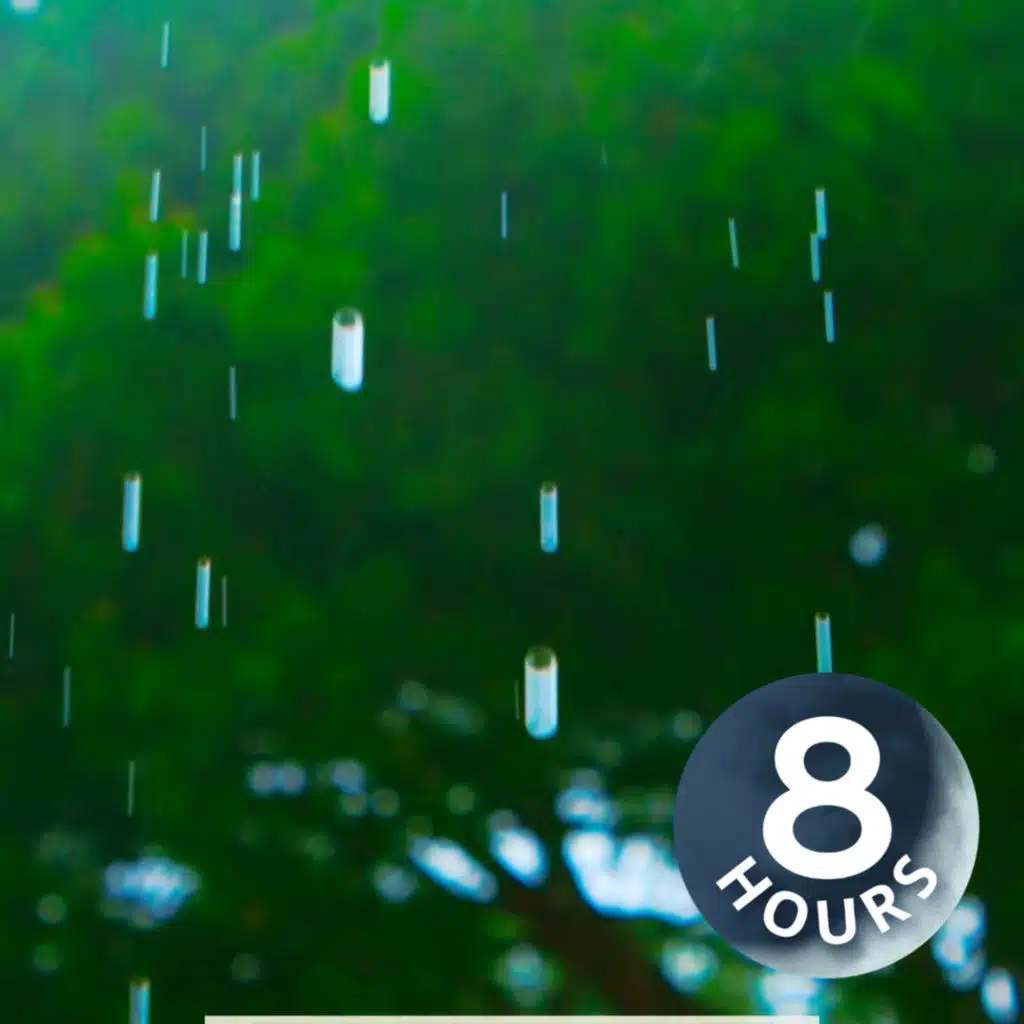 8 Hours Relaxing Summer Rain Sounds for Sleep & Stress Relief
