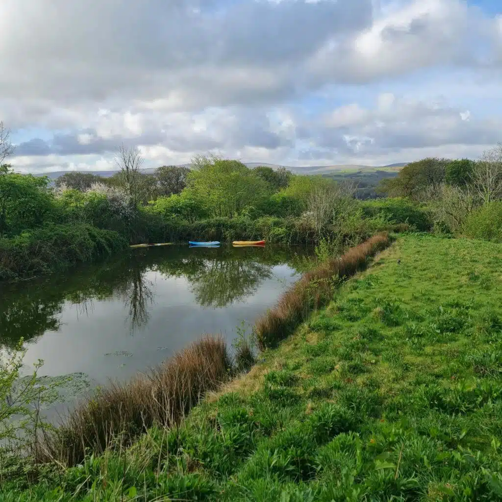 Sound Escape 221. Be charmed by chiffchaffs and blackcaps beside a woodland pool