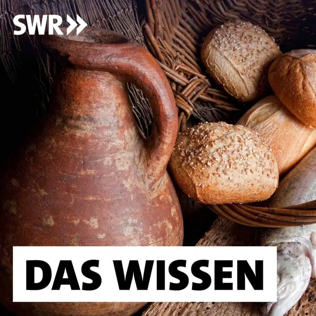 Was wir vom Mittelalter lernen können – Das ökosoziale Zeitalter?