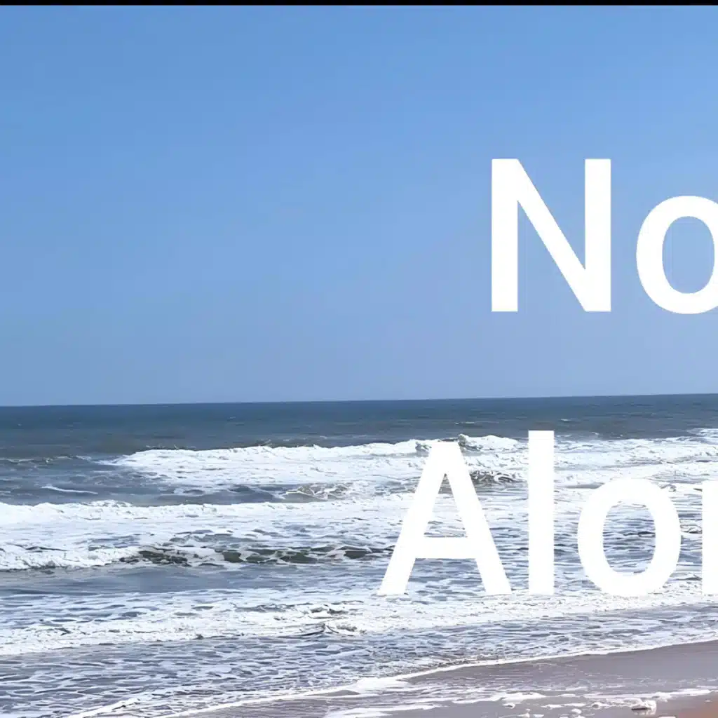 Not Alone