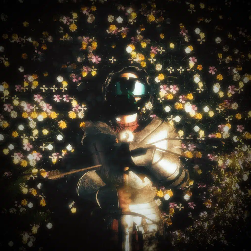 Le vœu du chevalier