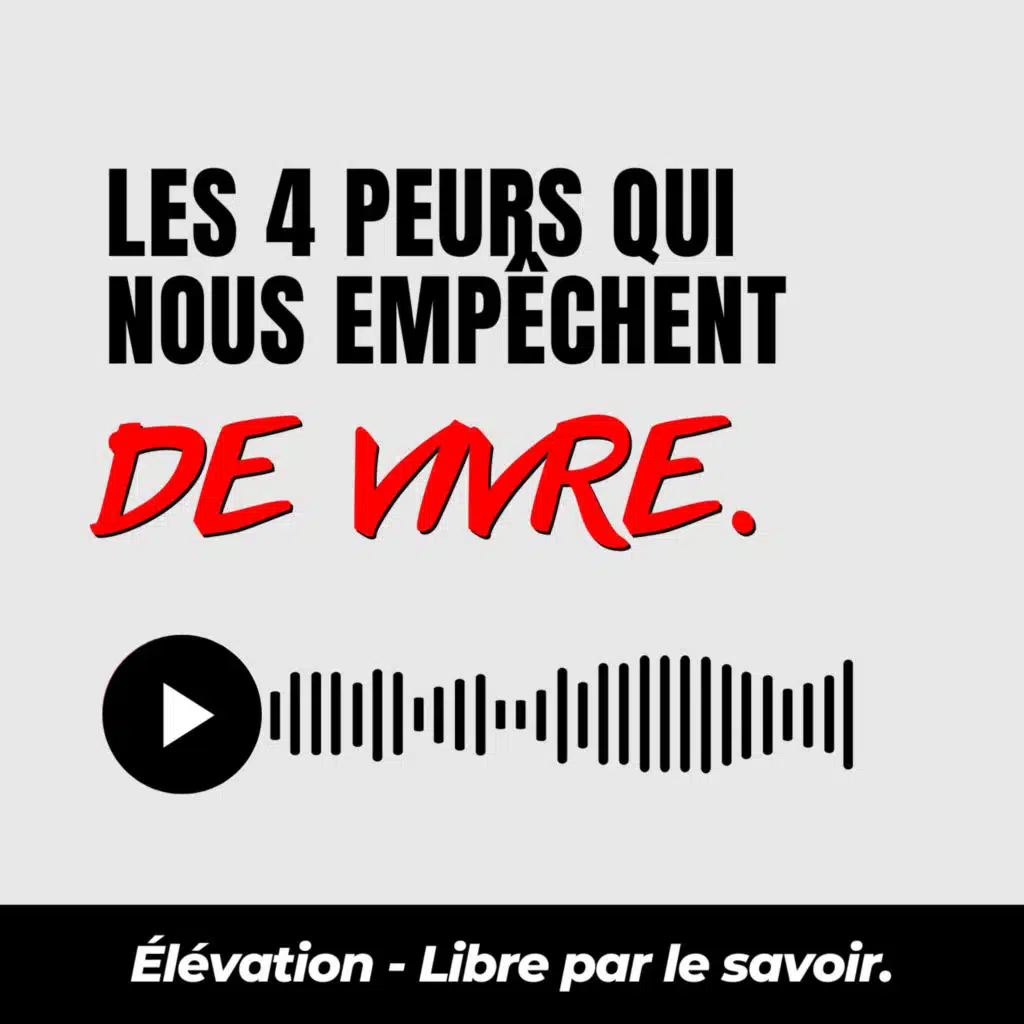 32. Les 4 peurs qui nous empêchent de vivre (Eudes Semeria) - Résumé de livre