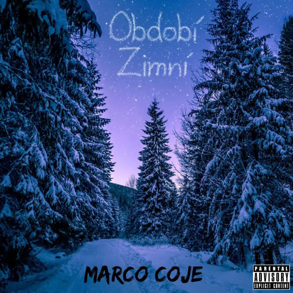Období Zimní