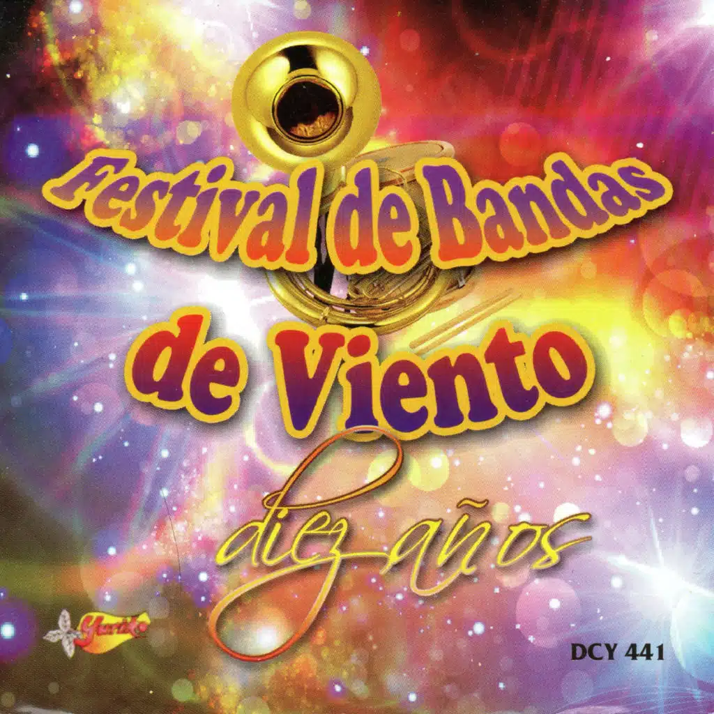 10 Anos del Festival de Bandas