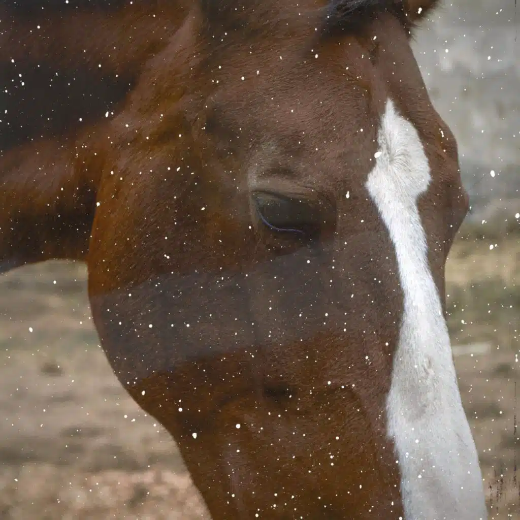 See You When You're Sorry Again