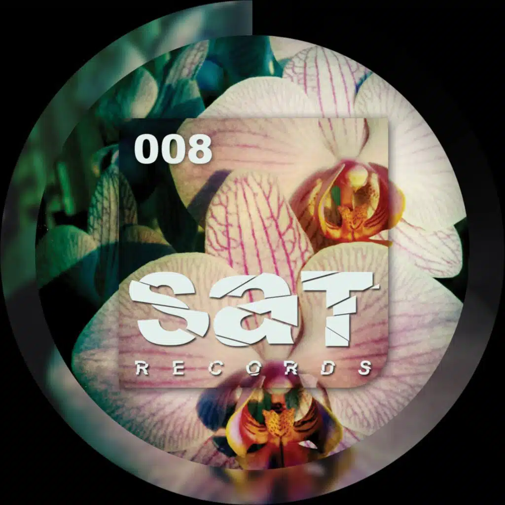 Sarp Yilmaz & Sinan Kaya