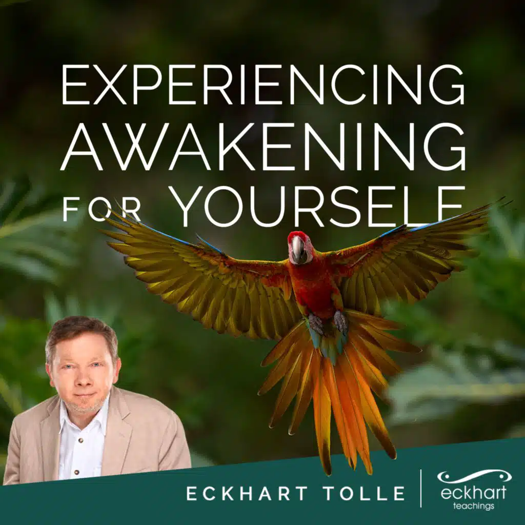 Experiencing Awakening for Yourself