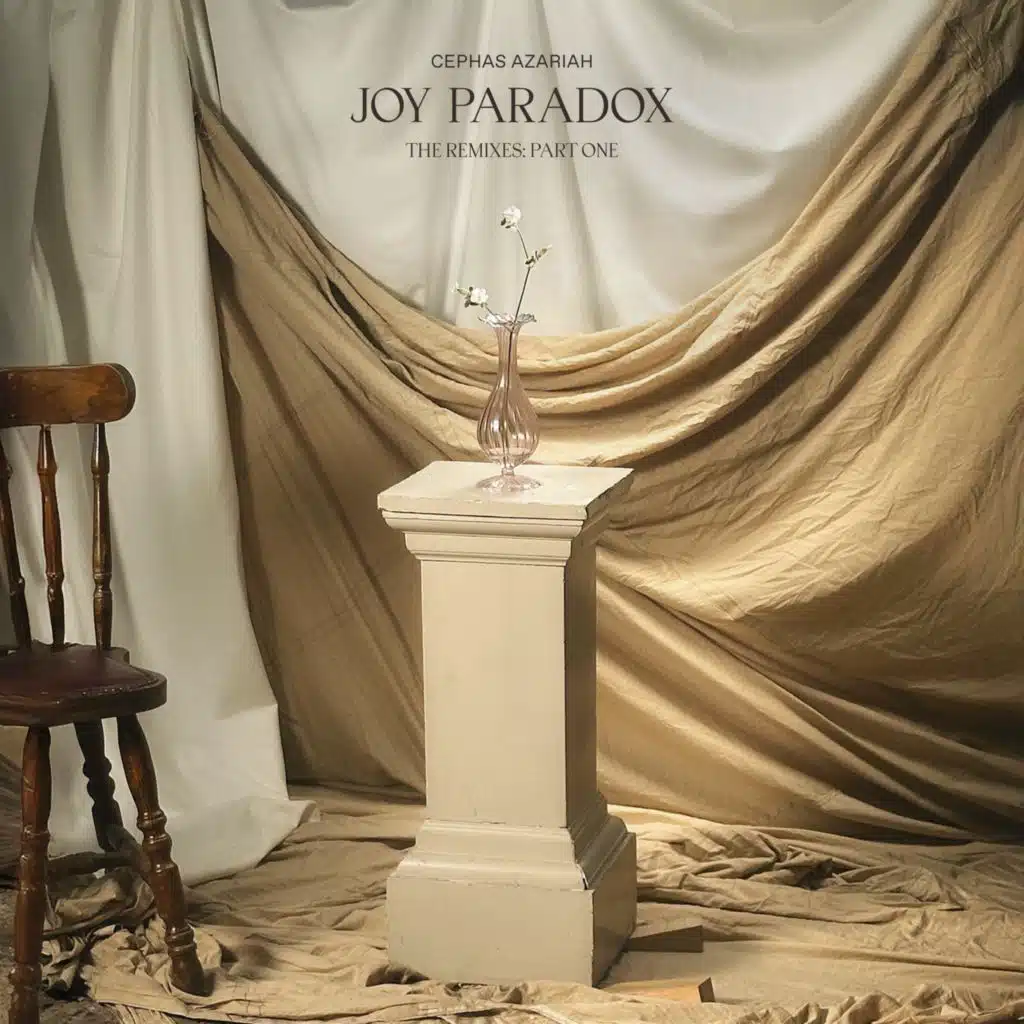 Joy Paradox (The Remixes: Part 1)