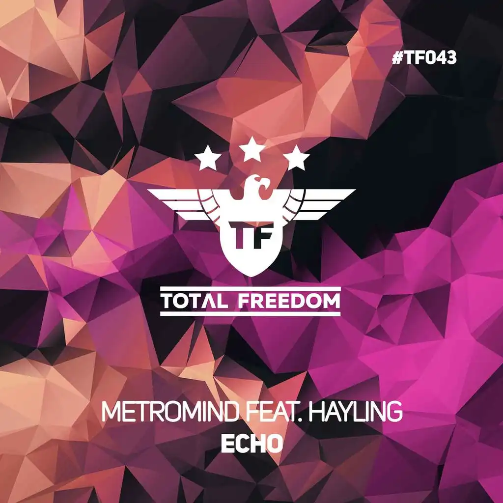 Echo (Extended Mix) [ft. Hayling]