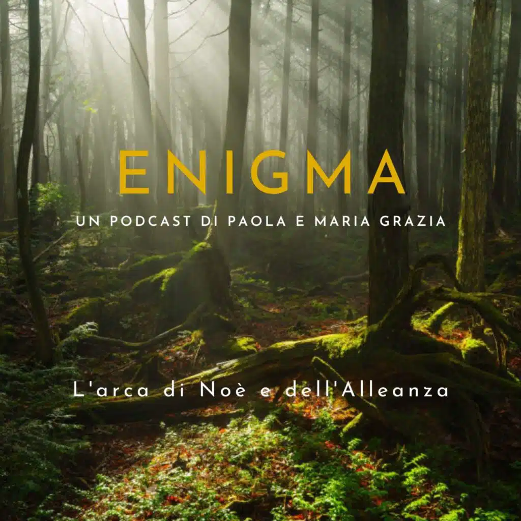 Arca di Noè e dell'Alleanza