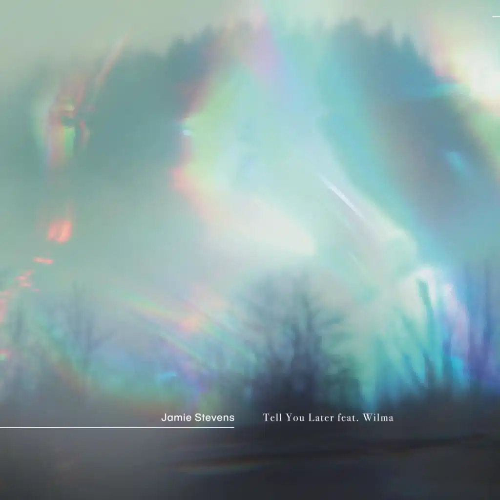 Tell You Later (feat. Wilma (AU)) [The Mixes]