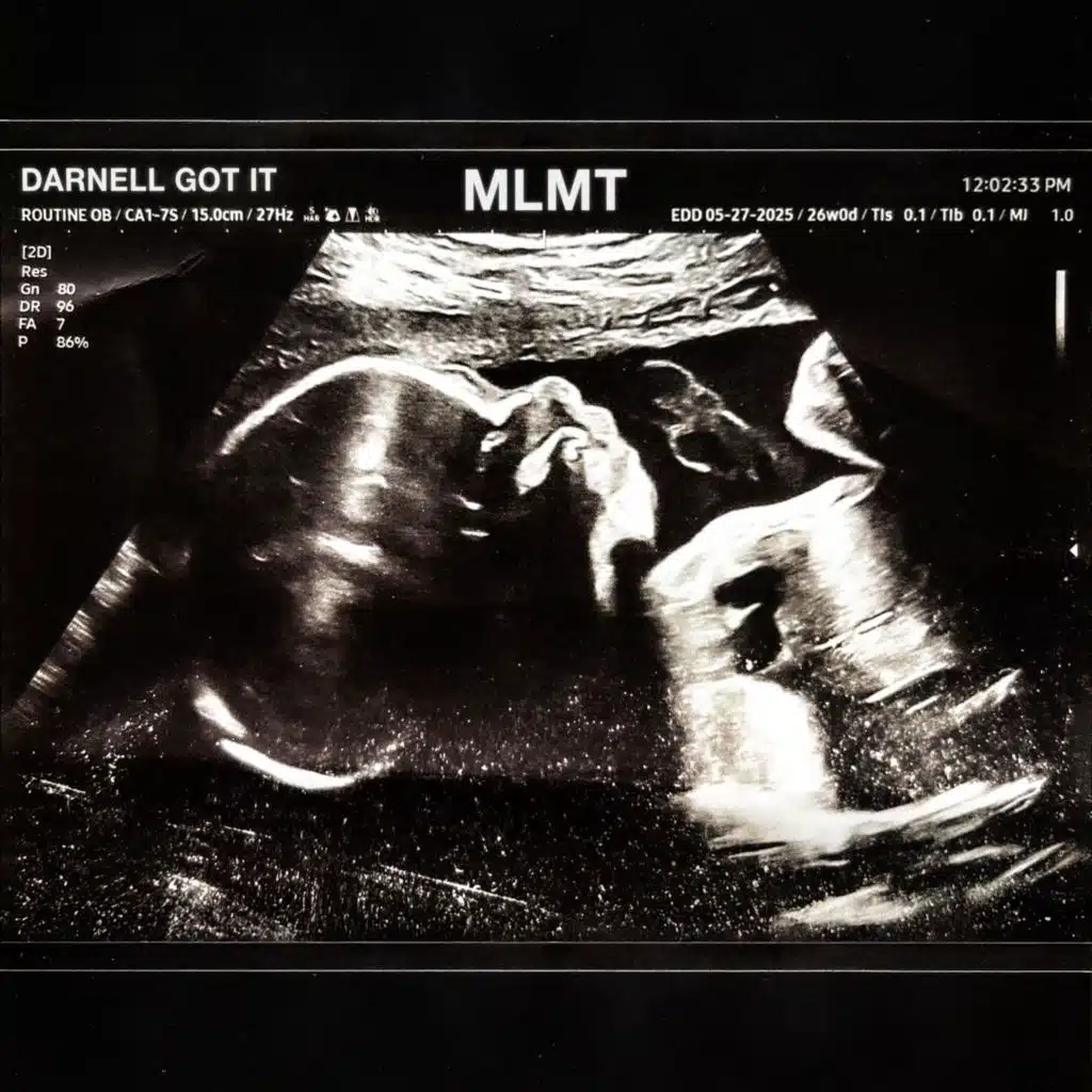 MLMT