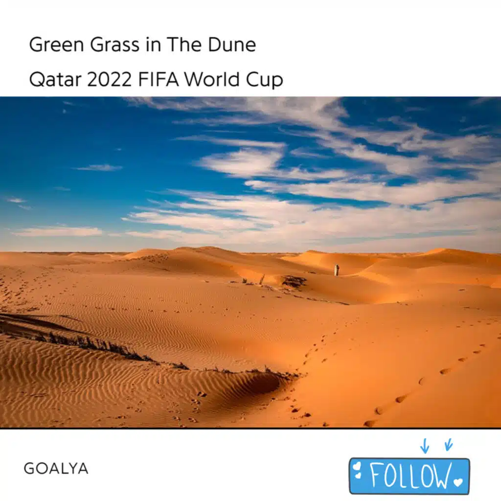 Green Grass in The Dune | Qatar 2022 FIFA World Cup