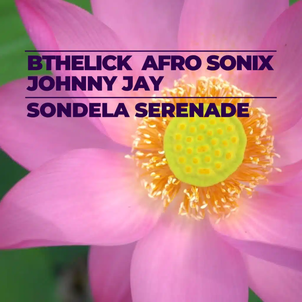 Sondela Serenade