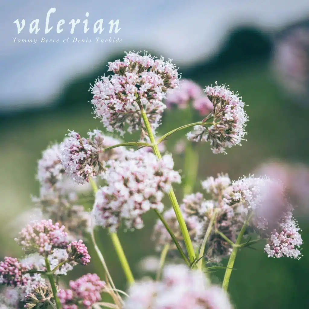 Valerian