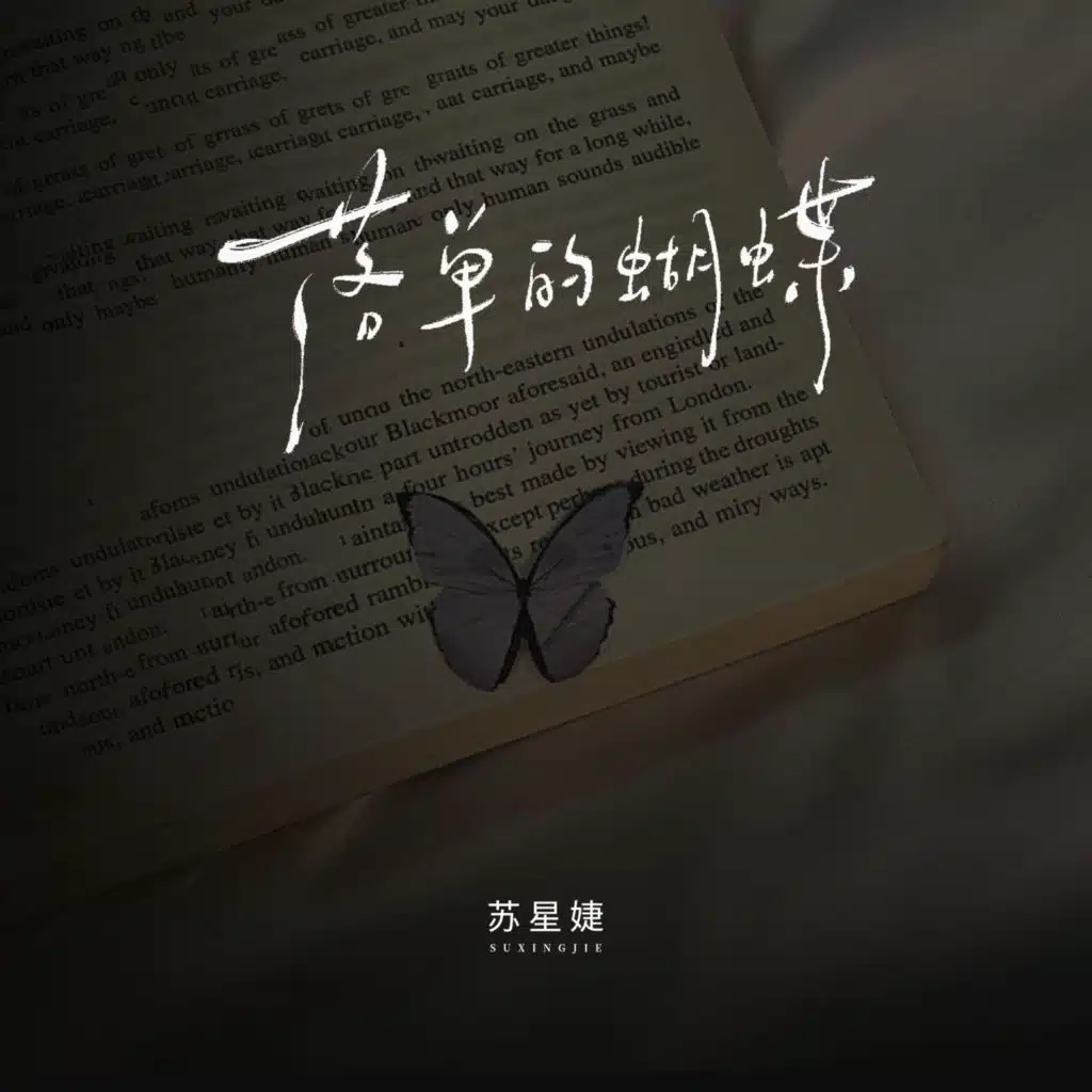落单的蝴蝶