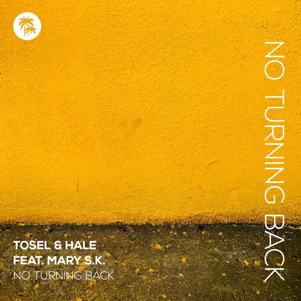 No Turning Back (Extended Mix) [feat. Mary S.K.]