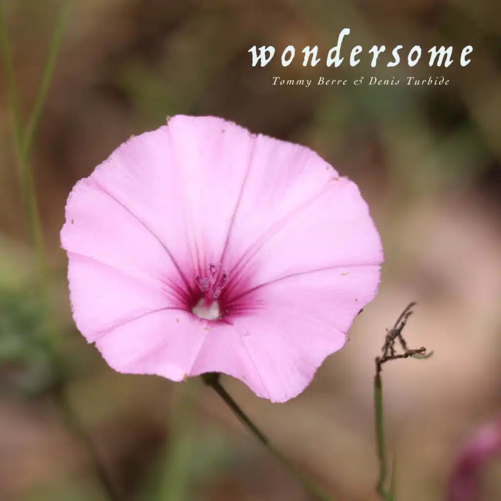 Wondersome