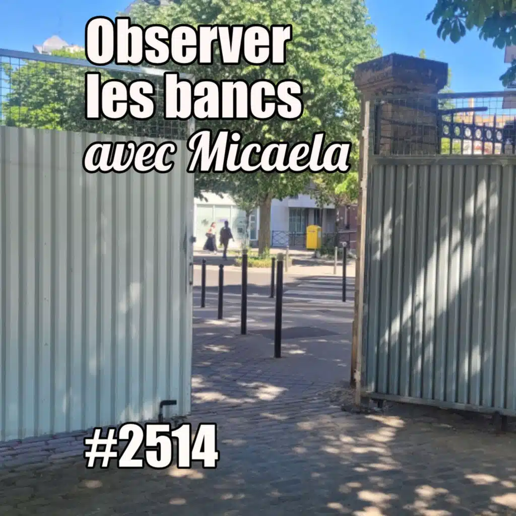 Observer les bancs avec Micaela - French Sociology in Action