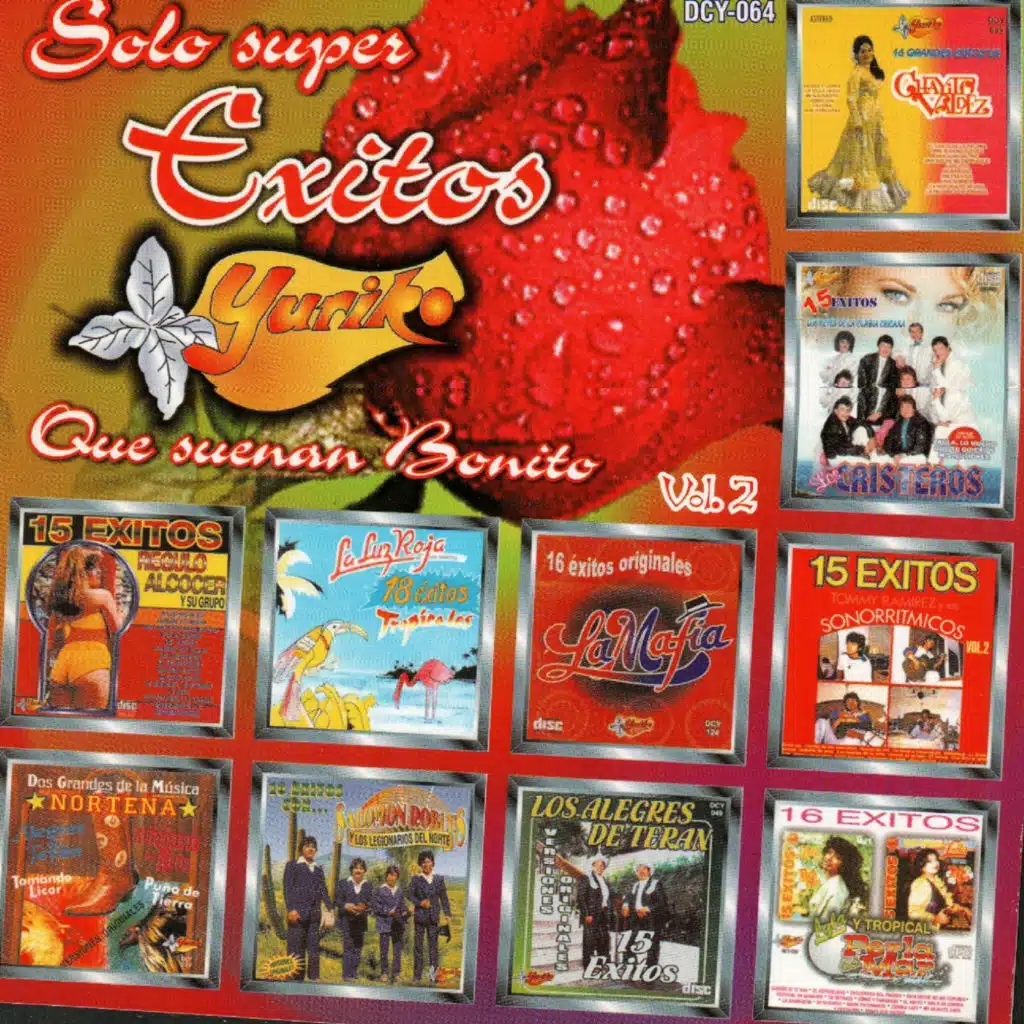 Solo Super Exitos Que Suenan Bonito  Vol. 2
