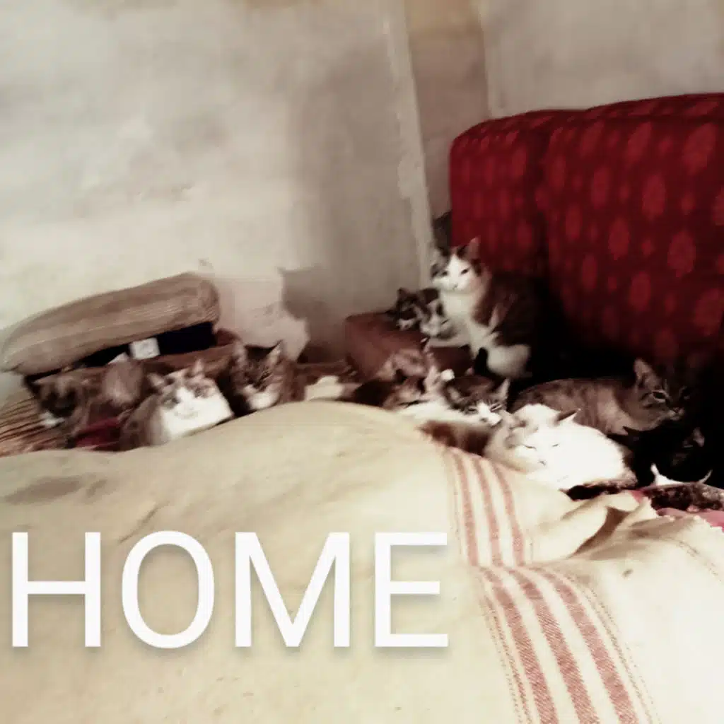 HOME (Instrumentals) [feat. Dj don]