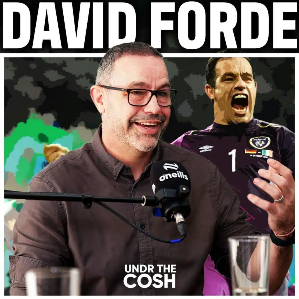 David Forde | Sleeping Lion