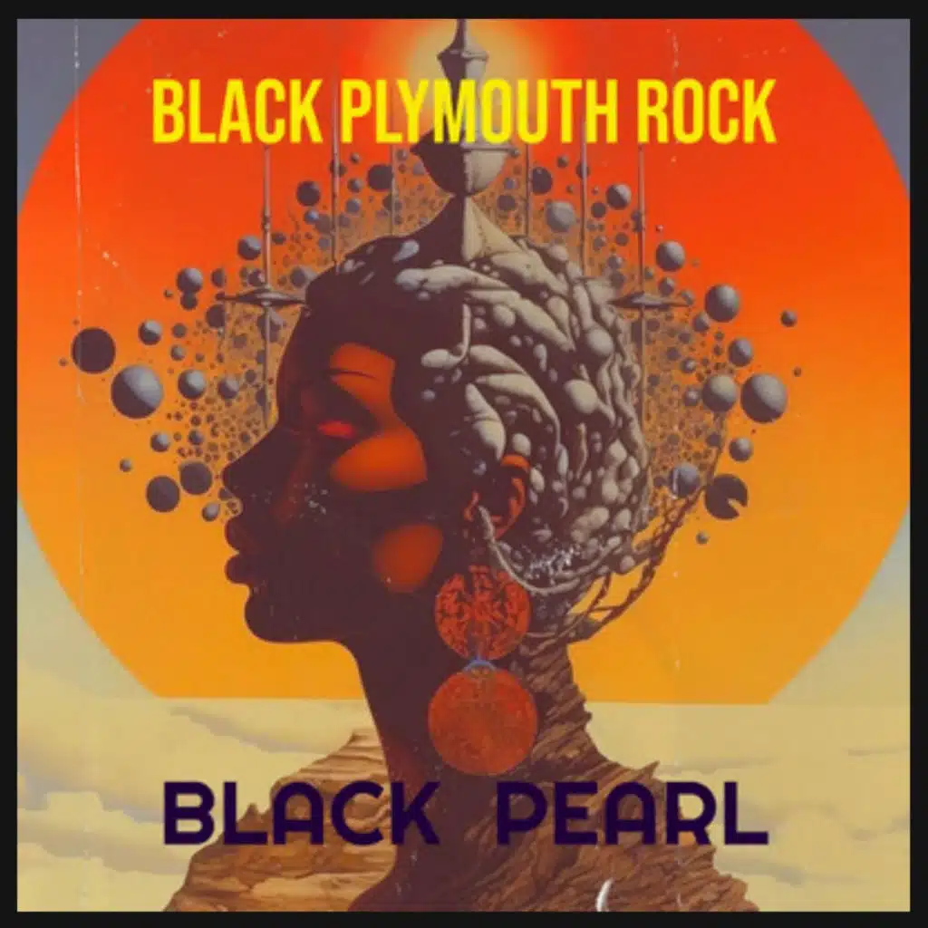 Black Plymouth Rock