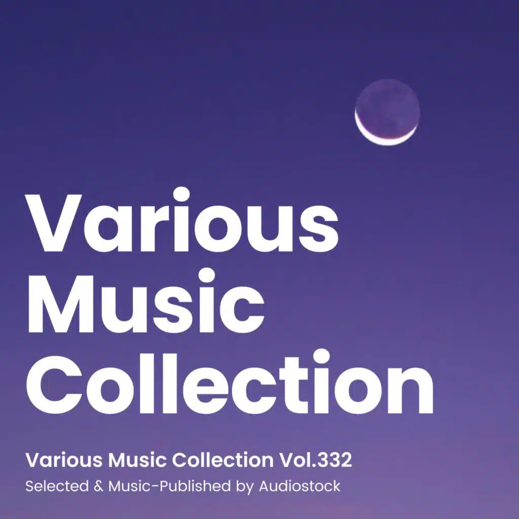 おしゃれでシリアスなシティーポップ