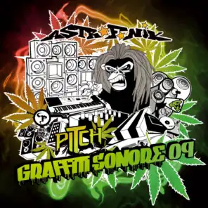 Graffiti Sonore, Vol. 9