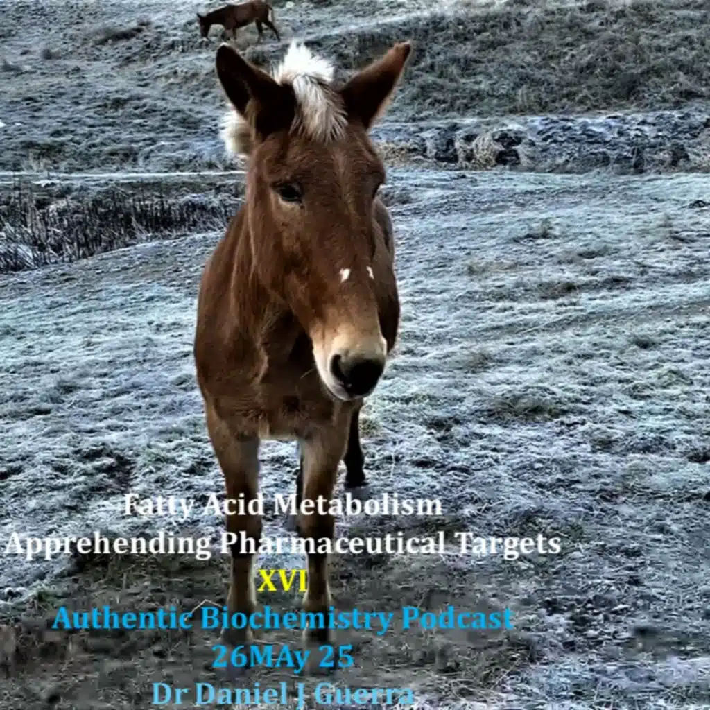 Fatty Acid Metabolism Apprehending Pharmaceutical Targets XVI. Authentic Biochemistry Podcast 26MAy 25 Dr Daniel J Guerra