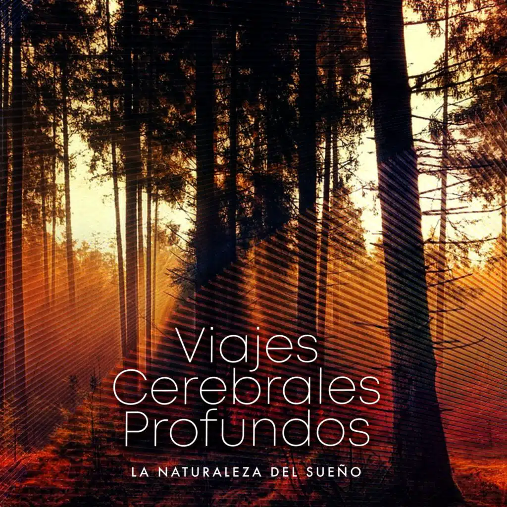 Viajes Cerebrales Profundos