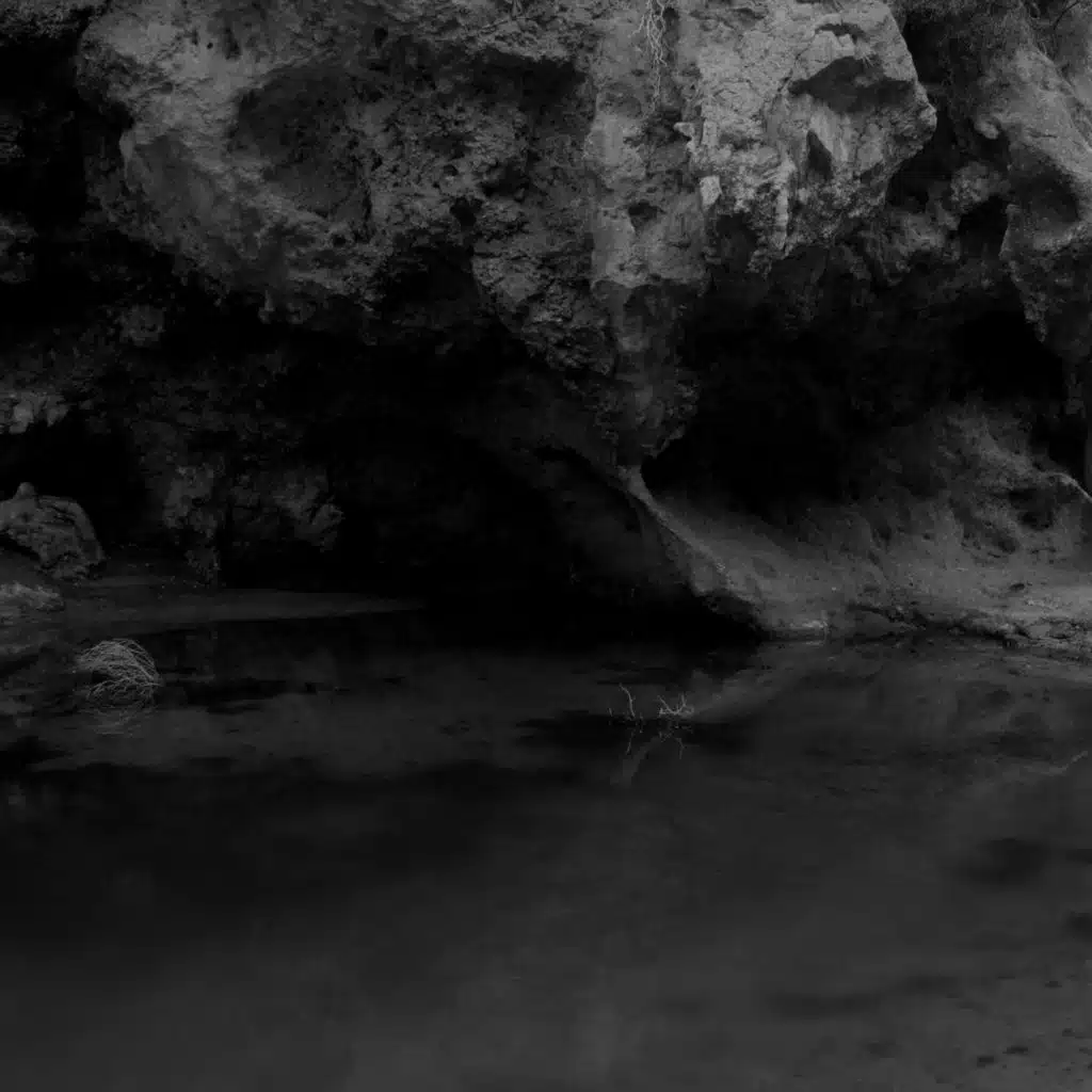 Polyklinik & Audio Compress