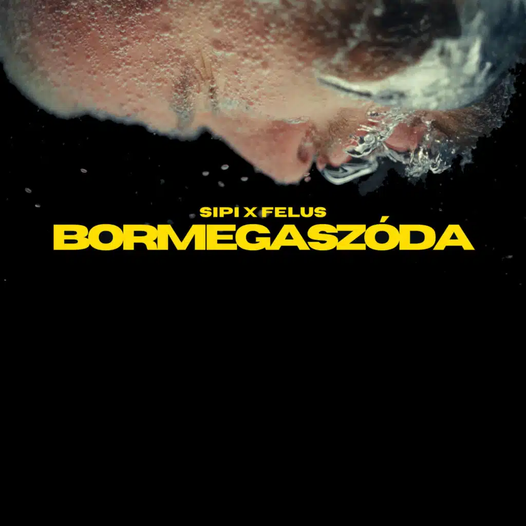 BORMEGASZÓDA