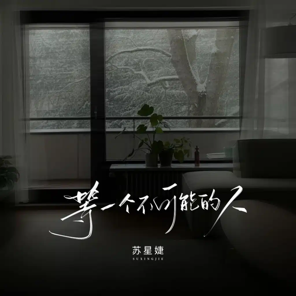 等一个不可能的人
