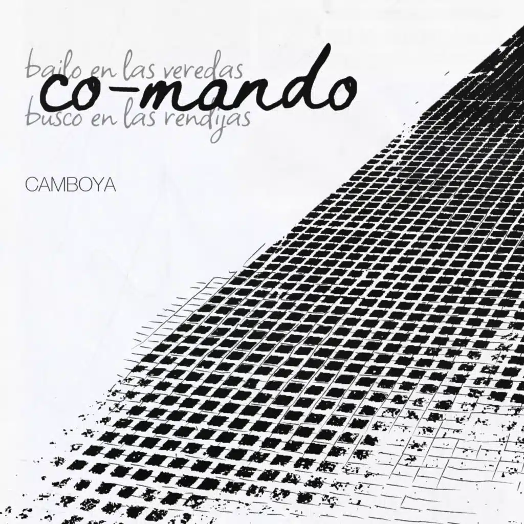 Co-mando