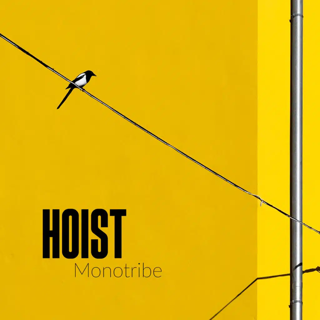 Hoist