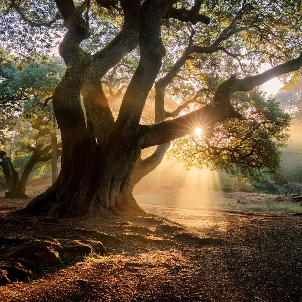 Echoes Of The Earth: Music From The Roots