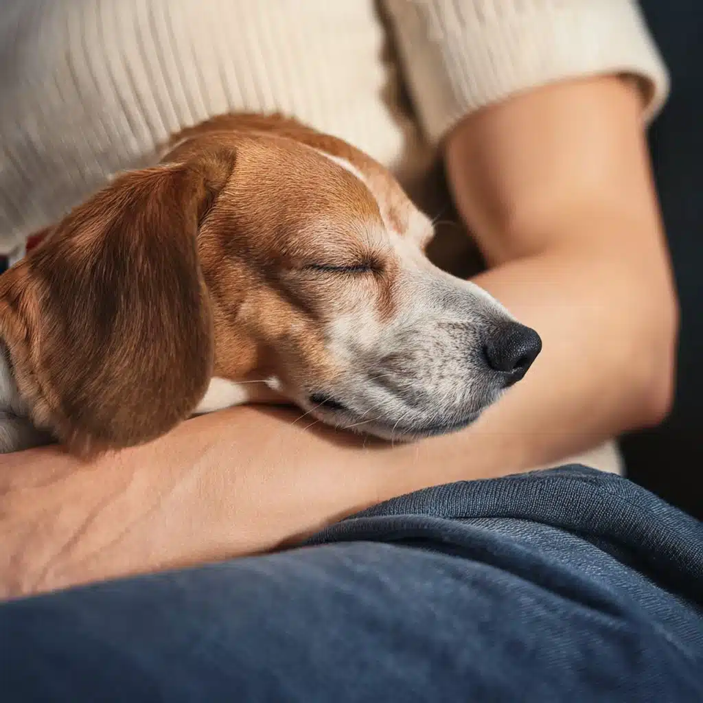 Dog Dreams: Music For Restful Naps