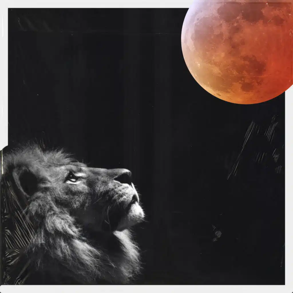 Darkest Nights IV